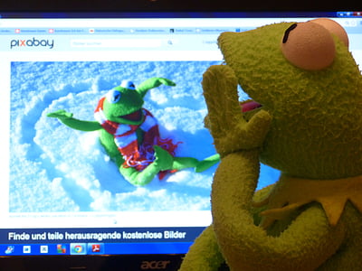 Kermit the Frog plush toy watching Kermit video clips thumbnail