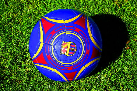 blue, red, and yellow ball on green grass thumbnail