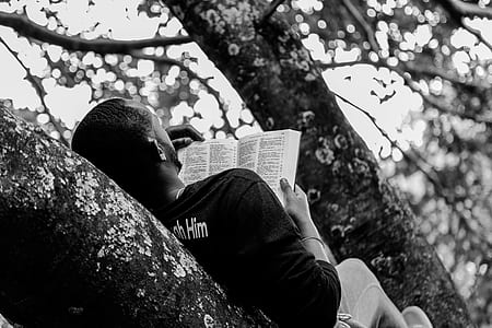 person holding book on tree trunk thumbnail