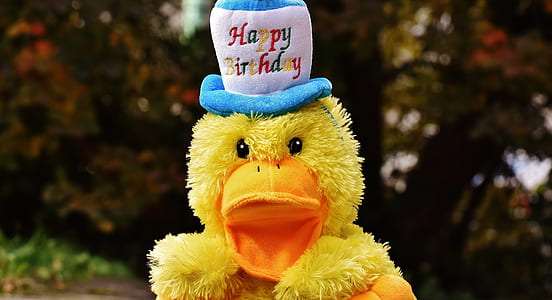 yellow duck wearing white and blue hat thumbnail