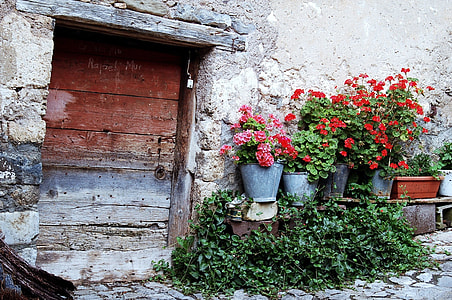 flowers and brown wooden door near wall at daytime thumbnail