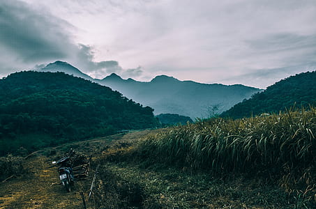 black motorcycle parked near green grass field thumbnail