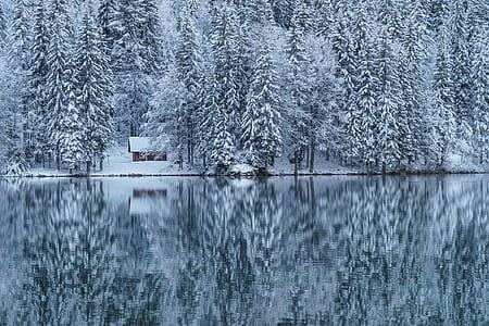 house near forest and body of water thumbnail