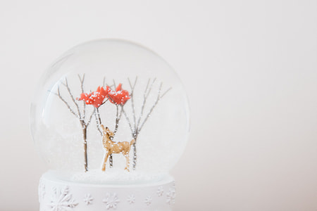 Snow ball with a deer thumbnail