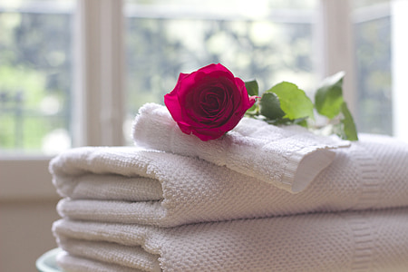 red rose on top of white towels near window thumbnail