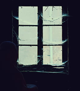 person standing in front of closed glass window thumbnail