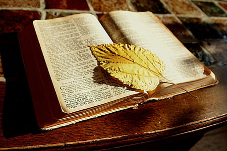 white printed book page with yellow leaf thumbnail
