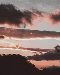 Silhouette of Trees during Golden Hour thumbnail