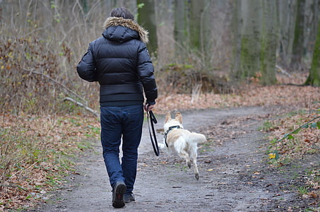 man holding black dog leash during daytime thumbnail