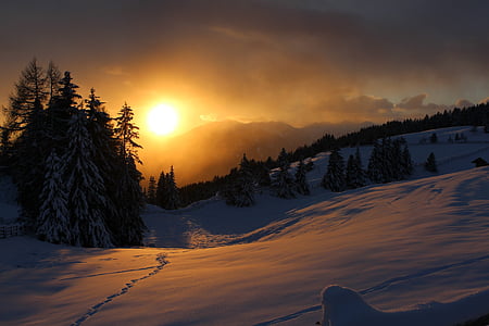 tundra during golden hour thumbnail