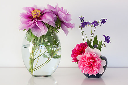 pink and purple petal flowers in vases thumbnail