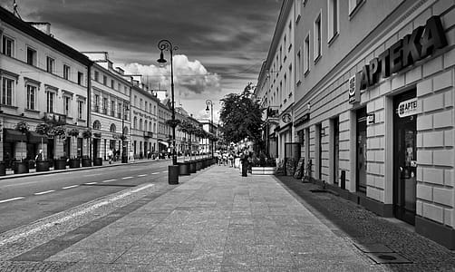 Greyscale Photo Of Road With Buildings thumbnail