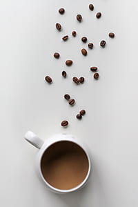 coffee seed and coffee in mug thumbnail