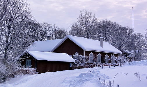 snow covered house thumbnail