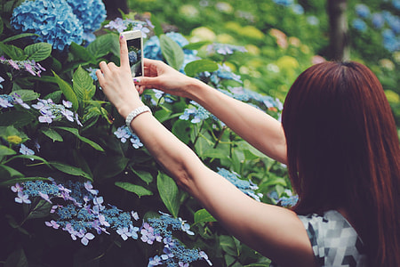 tilt lens photography of woman with red hair taking picture of a flower thumbnail
