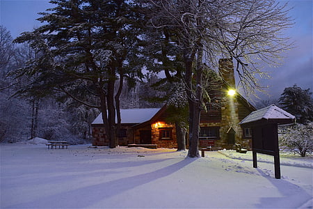 brown wooden house beside trees thumbnail