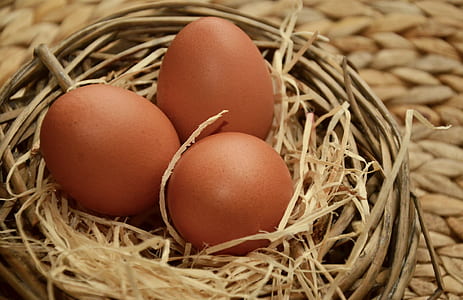 three brown eggs on nest thumbnail