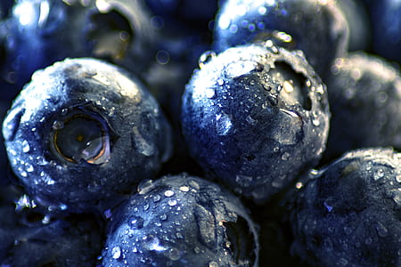 blue berries with water dews thumbnail