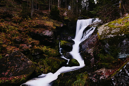 nature, water, forest, brook thumbnail