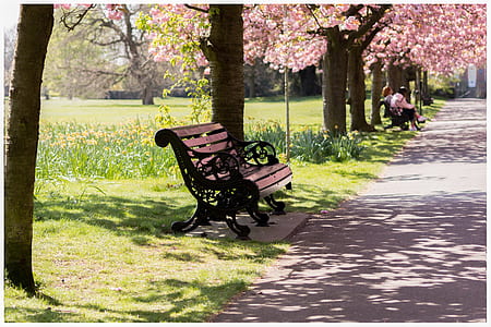 photo of black metal bench beside road thumbnail