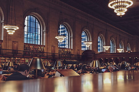 Photo of People in the Library thumbnail
