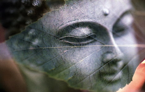 Buddha head illustration thumbnail