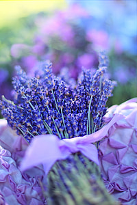 blue lavenders bouquet selective-focus photo thumbnail