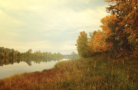 river in between trees under white clouds and blue sky thumbnail