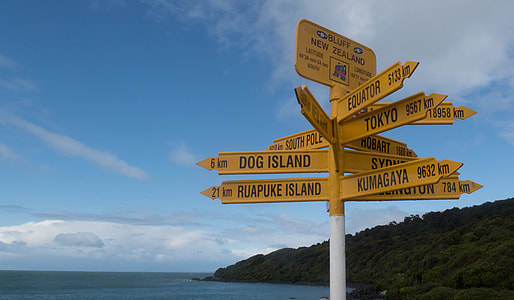 assorted yellow-and-black signage under blue sky thumbnail