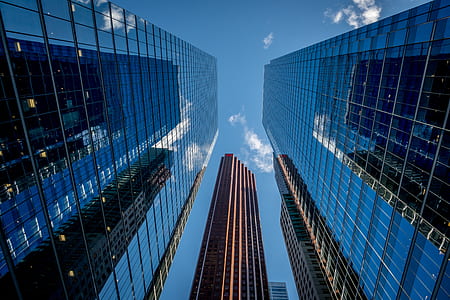 worm's eyeview photo of mirrored buildings thumbnail