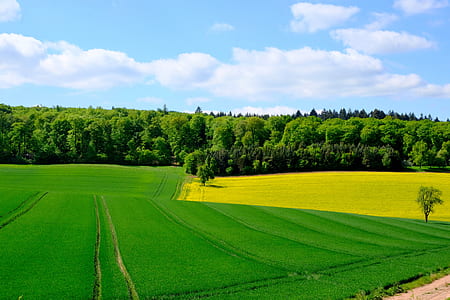 aerial photography of green grass field at daytime thumbnail