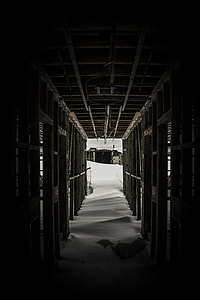 grayscale photography of hallway thumbnail
