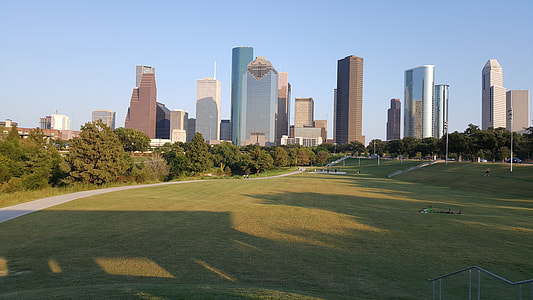 green grass and high rise building under blue sky thumbnail