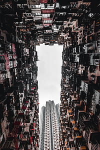 low angle photography of building thumbnail