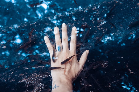 person's hand underwater with fish swimming around thumbnail