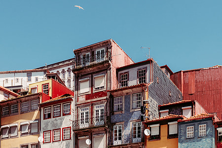 multicolored concrete houses thumbnail