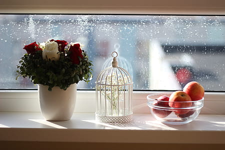 Apples in Ball Near Flowers in Vase thumbnail