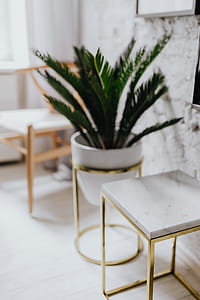 Living Room With Scandi Interior Design, Un'common Marble Table thumbnail