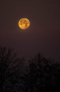yellow moon during nighttime thumbnail
