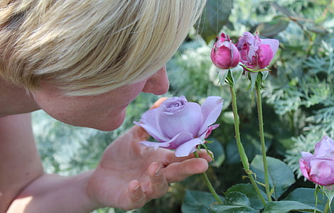 person holding and smelling purple petaled flower at daytime thumbnail