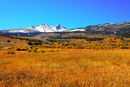 White Snow Mountain Near Grass Field thumbnail