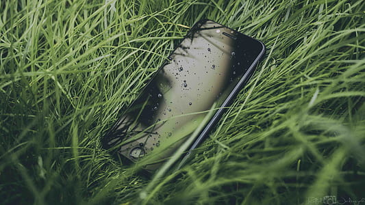 space gray iPhone 6 on grass thumbnail