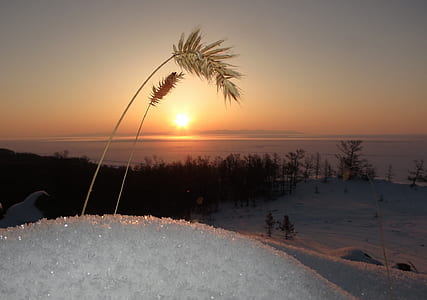 top view of snow covered hill thumbnail