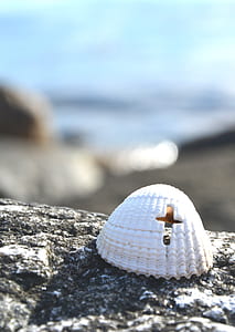 selective focus photography of white shell with cross hole thumbnail