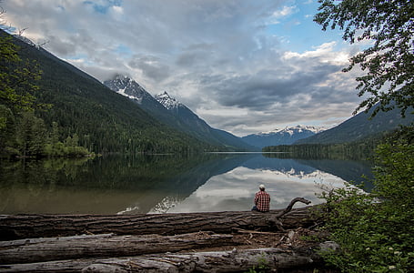 man sitting on brown tree log thumbnail