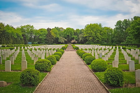 pathway between tombstones thumbnail