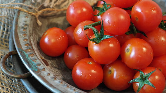 tomatoes on tray thumbnail