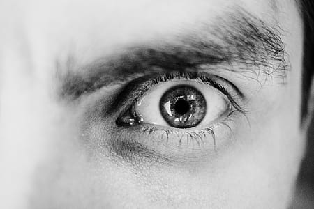 Grayscale Photo of Person's Left Eye thumbnail