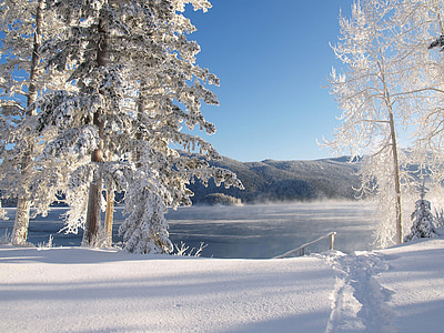 white tree and mountain at daytime thumbnail
