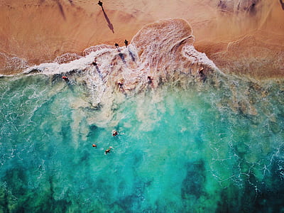aerial view of people walking on shoreline thumbnail